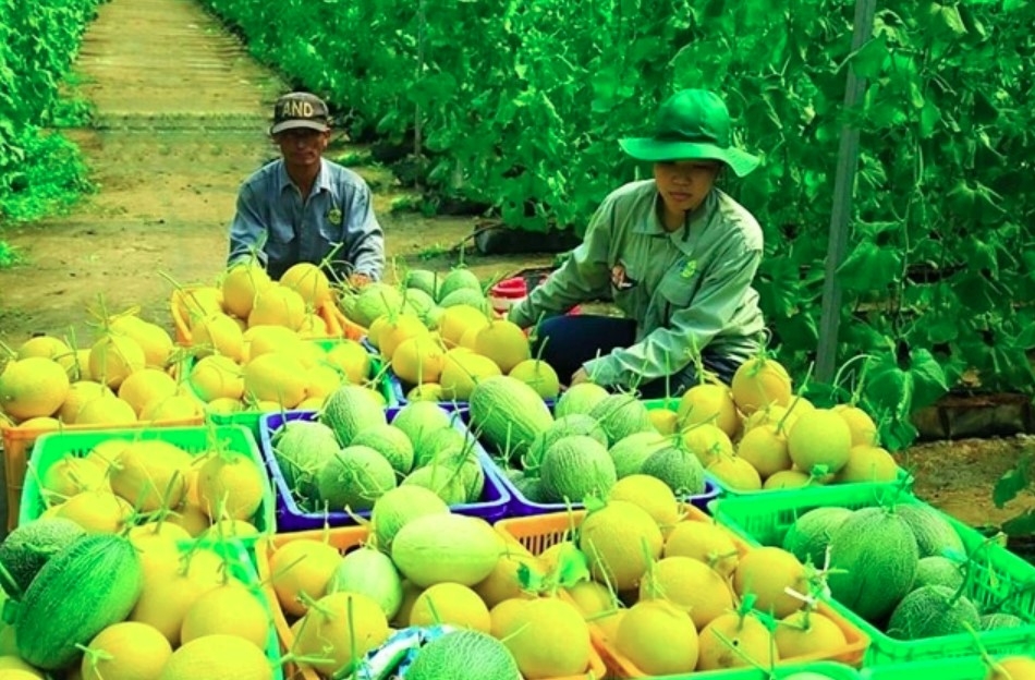 E-commerce to support farmers with market access